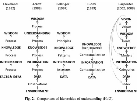 Duality Process Information in flows