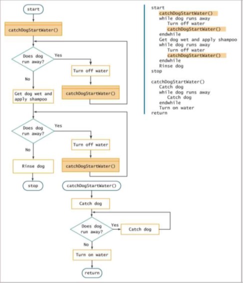 Programming Logic and Design