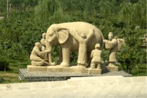 elephant-blind-men