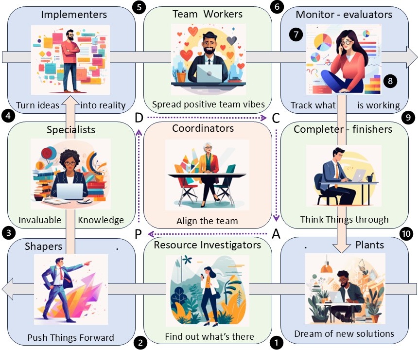 Belbin Team roles 9 areas