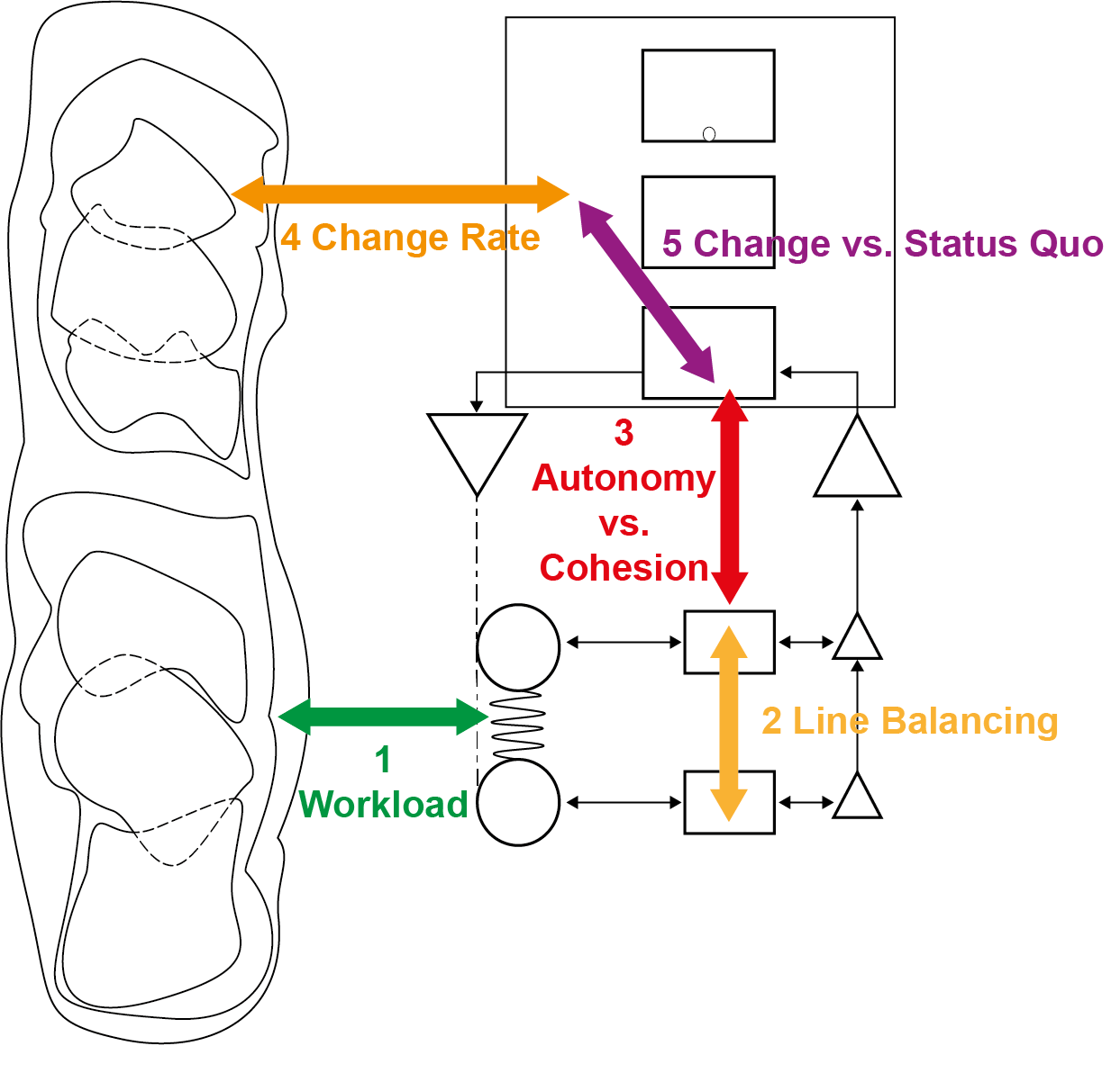 ViSM balances