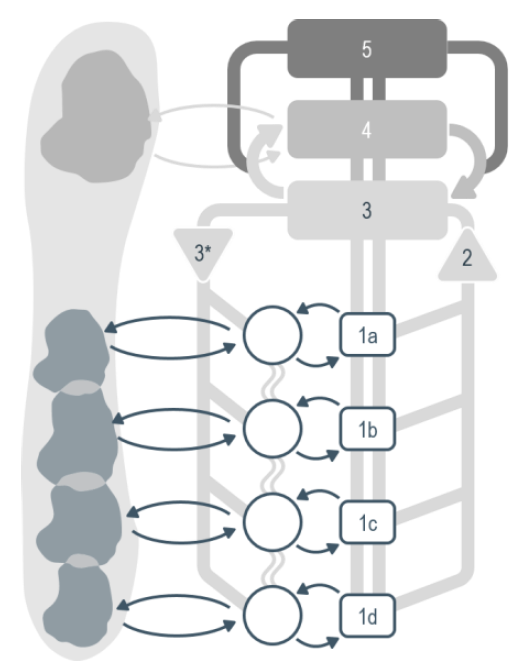 Simple'VSM system-3 operations