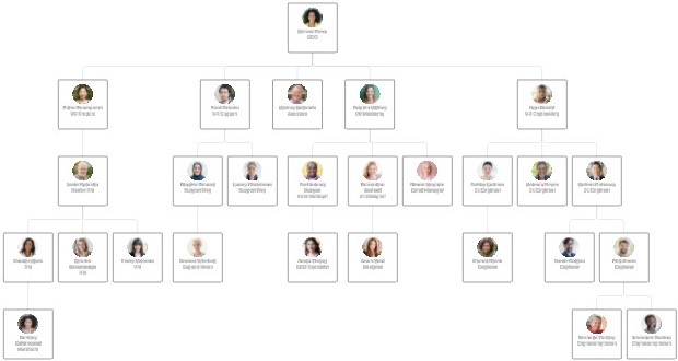 Organisation accountabilities